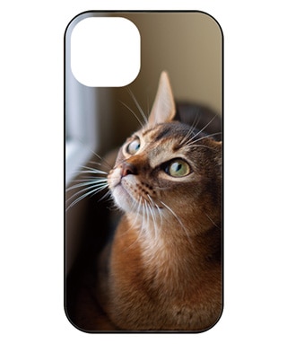 背面ガラスケース